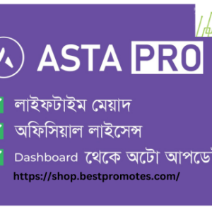 Astra Premium wordpress theme with license